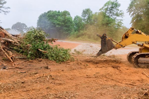Cost of Forestry Mulching Service in Davenport