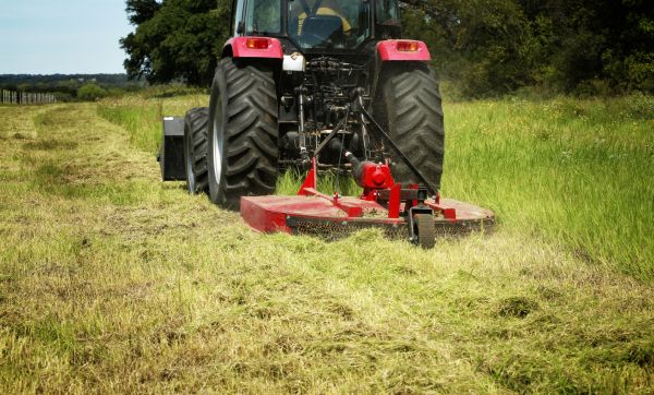 Cost of Brush Clearing Service in Davenport