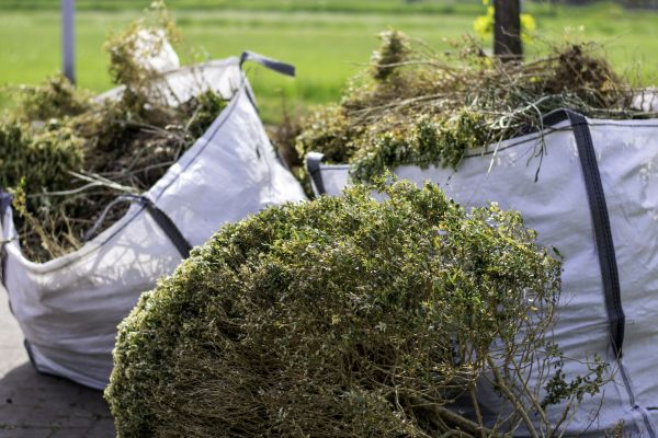 Cost of Bushes Clearing in Davenport