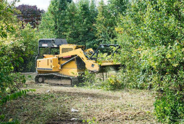 Cost of Pathway Clearing in Davenport
