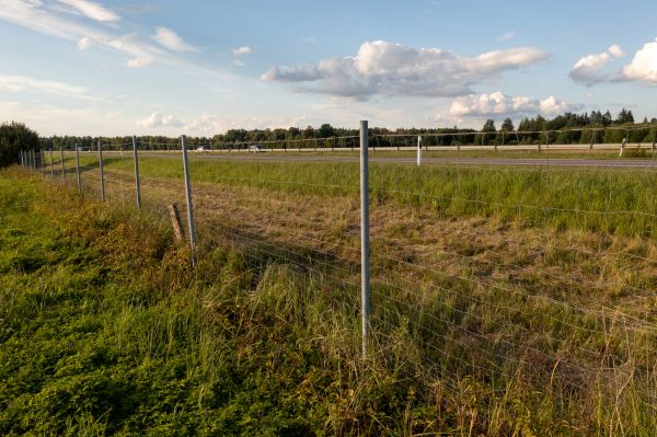 Cost of Property Line Clearing in Davenport