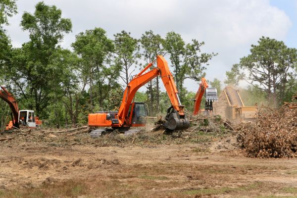 Cost of Commercial Lot Clearing in Davenport
